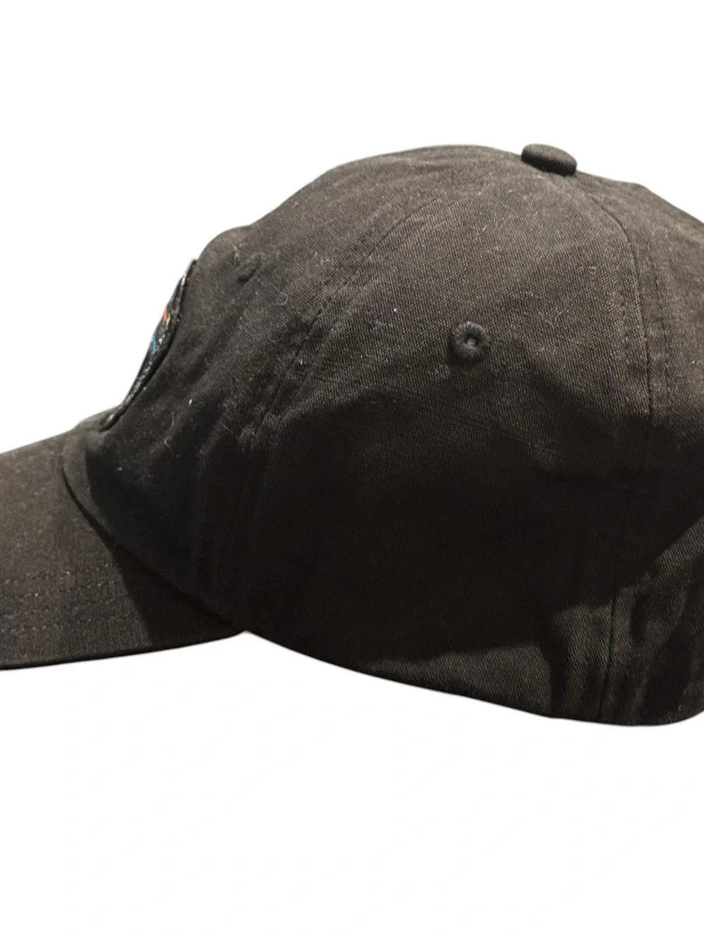 Patagonia Fitz Roy Bison Sttrapback Hat Cap Black